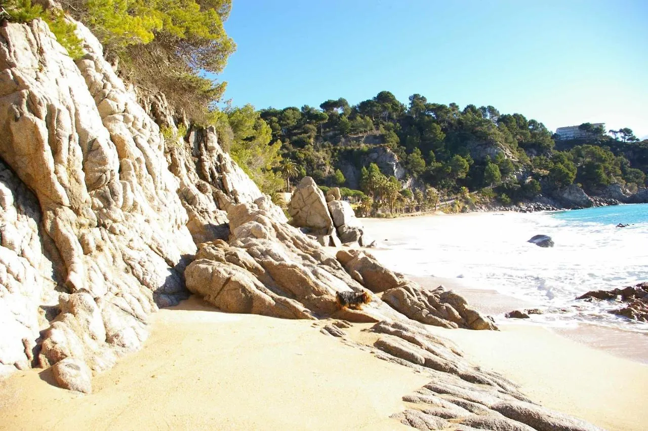 Casas Blanca 19 con piscina en playa Santa María de Llorell Tossa de Mar España